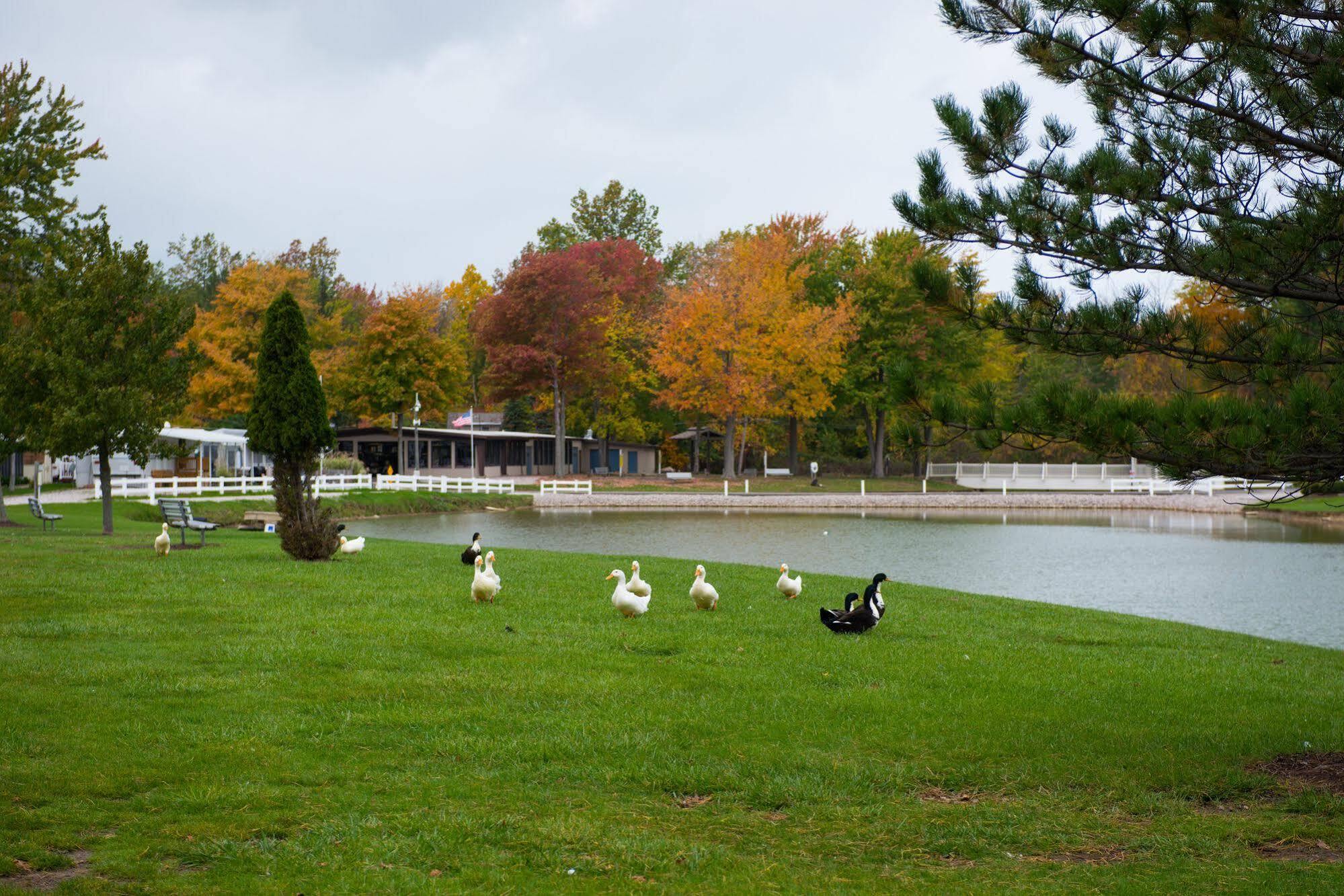 Sun Retreats Geneva On The Lake Ngoại thất bức ảnh
